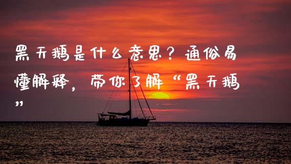 黑天鹅是什么意思？通俗易懂解释，带你了解“黑天鹅”_https://m.jnkyh.com_国际原油_第1张