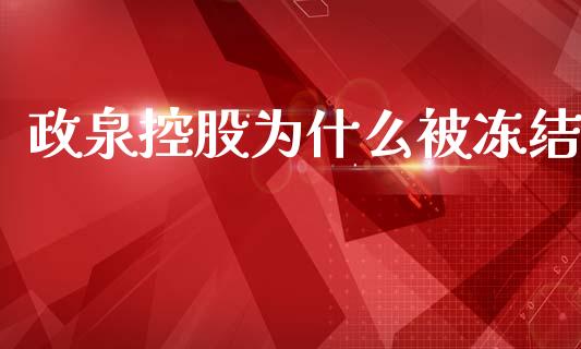 政泉控股为什么被冻结_https://m.jnkyh.com_国际原油_第1张
