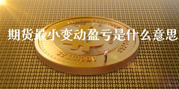 期货最小变动盈亏是什么意思_https://m.jnkyh.com_国际原油_第1张