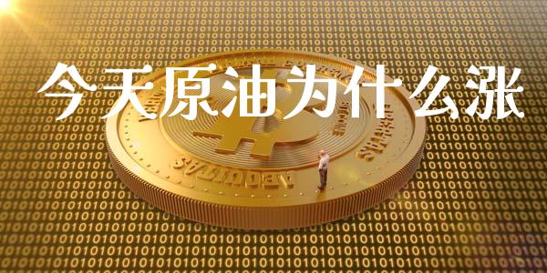 今天原油为什么涨_https://m.jnkyh.com_股票交易_第1张
