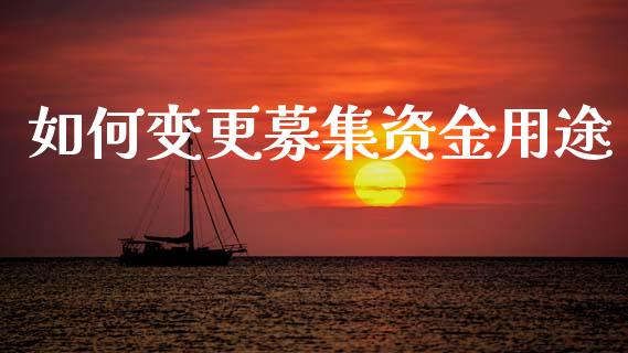 如何变更募集资金用途_https://m.jnkyh.com_股指期货_第1张