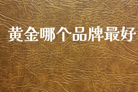黄金哪个品牌最好_https://m.jnkyh.com_股票交易_第1张