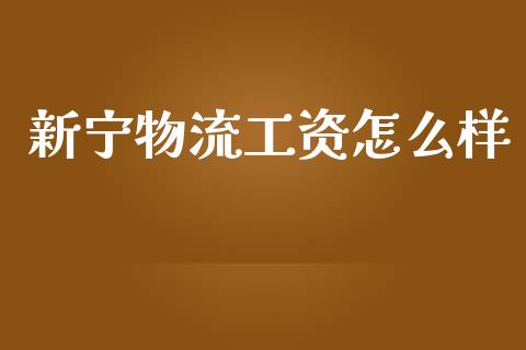 新宁物流工资怎么样_https://m.jnkyh.com_股票交易_第1张