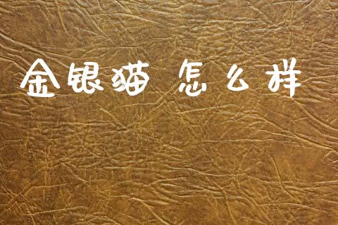 金银猫 怎么样_https://m.jnkyh.com_期货开户条件_第1张