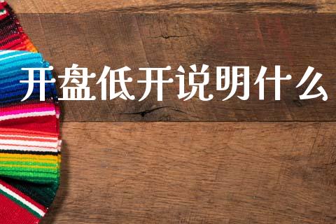 开盘低开说明什么_https://m.jnkyh.com_股指期货_第1张