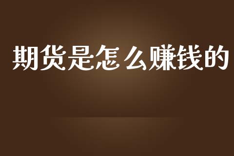 期货是怎么赚钱的_https://m.jnkyh.com_股指期货_第1张