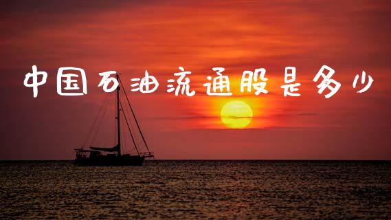 中国石油流通股是多少_https://m.jnkyh.com_期货开户条件_第1张