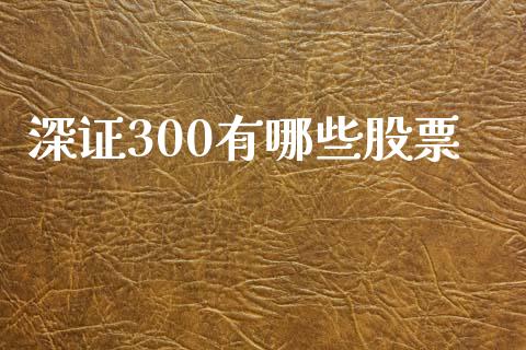 深证300有哪些股票_https://m.jnkyh.com_股票交易_第1张