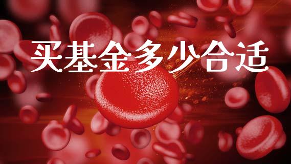 买基金多少合适_https://m.jnkyh.com_期货开户条件_第1张