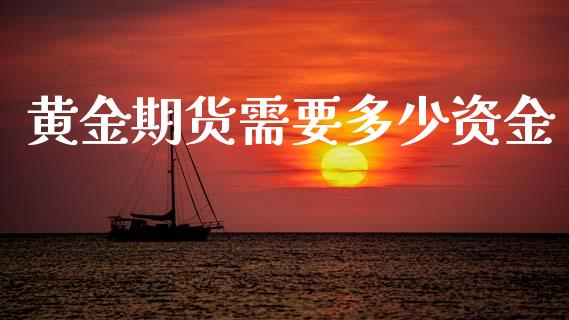 黄金期货需要多少资金_https://m.jnkyh.com_股票交易_第1张