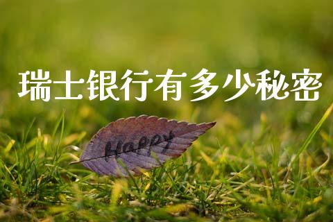 瑞士银行有多少秘密_https://m.jnkyh.com_股指期货_第1张