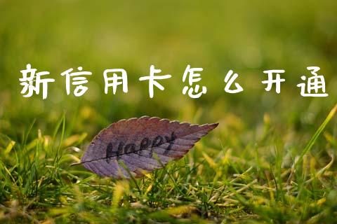 新信用卡怎么开通_https://m.jnkyh.com_股指期货_第1张
