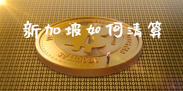 新加坡如何清算_https://m.jnkyh.com_期货开户条件_第1张