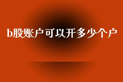 b股账户可以开多少个户_https://m.jnkyh.com_国际原油_第1张