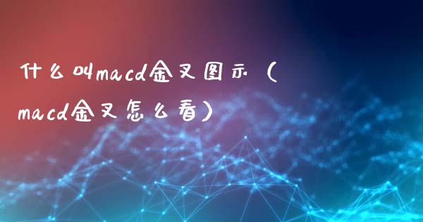 什么叫macd金叉图示（macd金叉怎么看）_https://m.jnkyh.com_股票交易_第1张