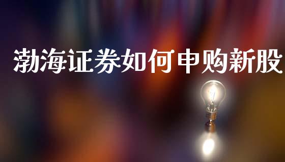 渤海证券如何申购新股_https://m.jnkyh.com_股票交易_第1张