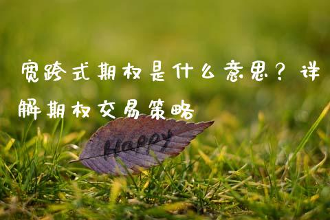 宽跨式期权是什么意思？详解期权交易策略_https://m.jnkyh.com_期货开户条件_第1张