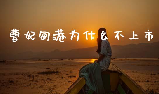 曹妃甸港为什么不上市_https://m.jnkyh.com_国际原油_第1张