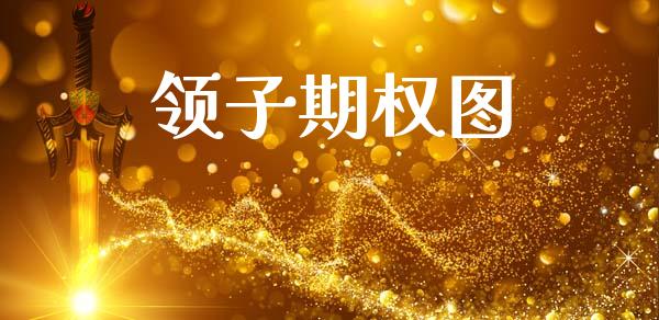 领子期权图_https://m.jnkyh.com_国际原油_第1张