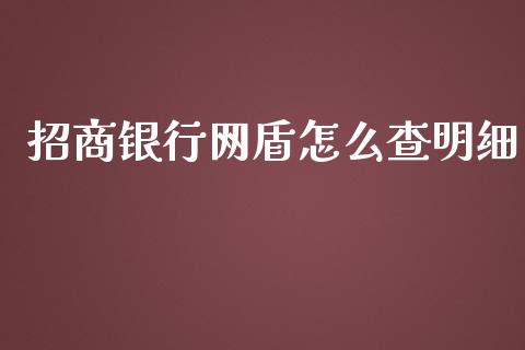 招商银行网盾怎么查明细_https://m.jnkyh.com_期货开户条件_第1张