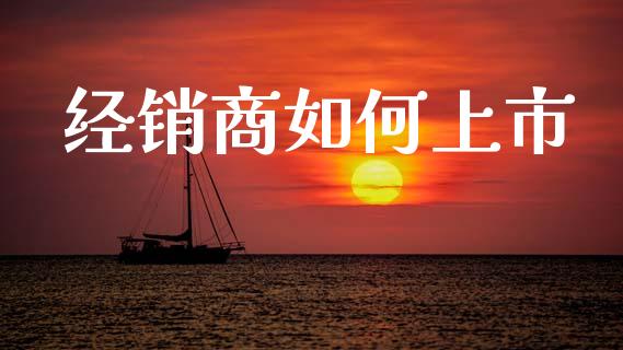 经销商如何上市_https://m.jnkyh.com_股票交易_第1张