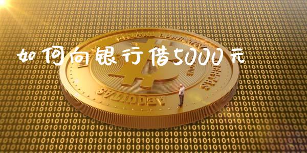 如何向银行借5000元_https://m.jnkyh.com_国际原油_第1张