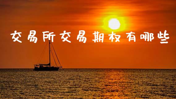交易所交易期权有哪些_https://m.jnkyh.com_股指期货_第1张