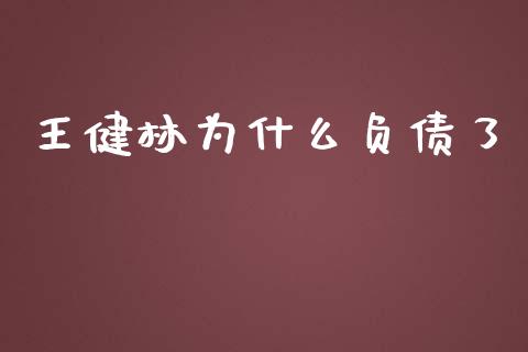 王健林为什么负债了_https://m.jnkyh.com_国际原油_第1张