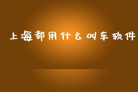 上海都用什么叫车软件_https://m.jnkyh.com_股票交易_第1张