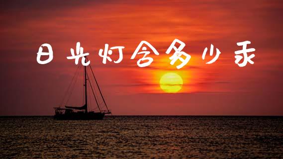 日光灯含多少汞_https://m.jnkyh.com_股票交易_第1张