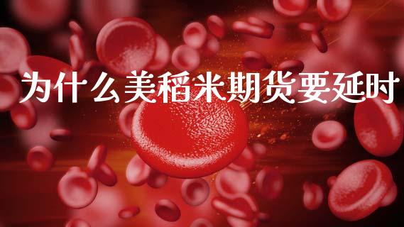 为什么美稻米期货要延时_https://m.jnkyh.com_期货开户条件_第1张