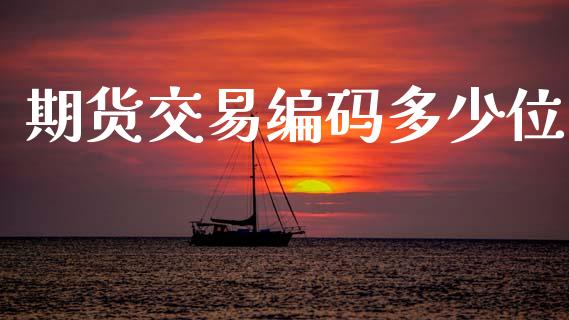 期货交易编码多少位_https://m.jnkyh.com_股票交易_第1张