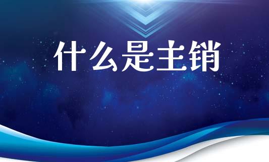 什么是主销_https://m.jnkyh.com_股指期货_第1张