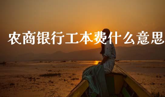 农商银行工本费什么意思_https://m.jnkyh.com_期货开户条件_第1张