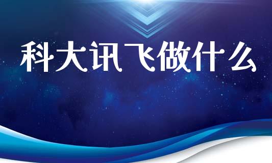 科大讯飞做什么_https://m.jnkyh.com_国际原油_第1张