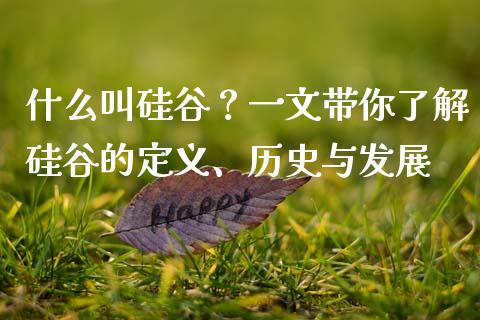 什么叫硅谷？一文带你了解硅谷的定义、历史与发展_https://m.jnkyh.com_股票交易_第1张