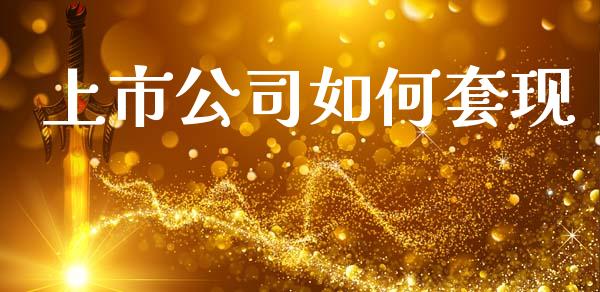 上市公司如何套现_https://m.jnkyh.com_股指期货_第1张