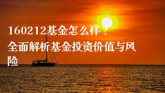 160212基金怎么样？全面解析基金投资价值与风险_https://m.jnkyh.com_期货开户条件_第1张