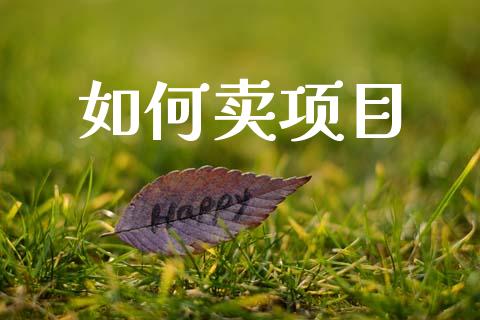 如何卖项目_https://m.jnkyh.com_期货开户条件_第1张