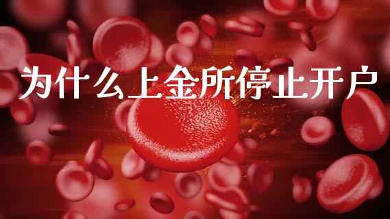 为什么上金所停止开户_https://m.jnkyh.com_股票交易_第1张