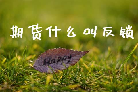 期货什么叫反锁_https://m.jnkyh.com_股票交易_第1张