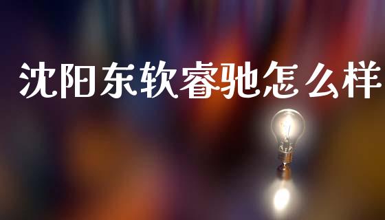 沈阳东软睿驰怎么样_https://m.jnkyh.com_期货开户条件_第1张