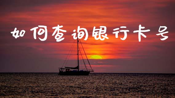 如何查询银行卡号_https://m.jnkyh.com_期货开户条件_第1张