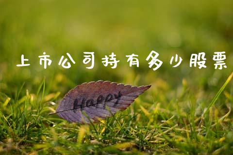 上市公司持有多少股票_https://m.jnkyh.com_国际原油_第1张