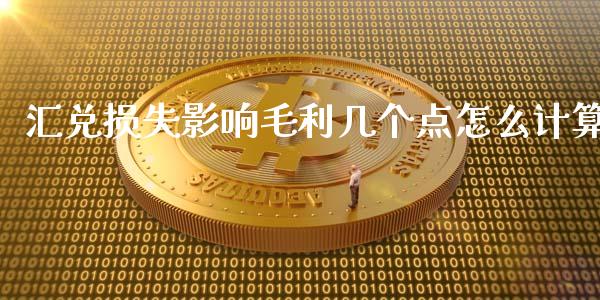 汇兑损失影响毛利几个点怎么计算_https://m.jnkyh.com_期货开户条件_第1张