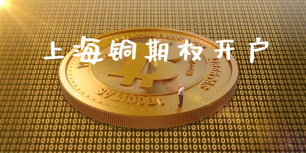 上海铜期权开户_https://m.jnkyh.com_股票交易_第1张