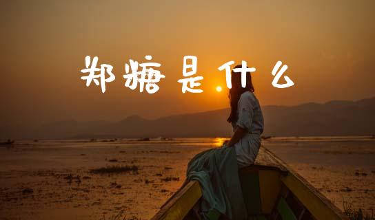 郑糖是什么_https://m.jnkyh.com_股指期货_第1张