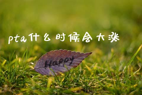 pta什么时候会大涨_https://m.jnkyh.com_股票交易_第1张