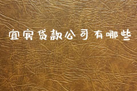 宜宾贷款公司有哪些_https://m.jnkyh.com_国际原油_第1张