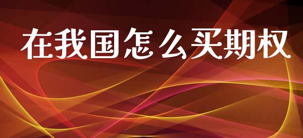 在我国怎么买期权_https://m.jnkyh.com_国际原油_第1张